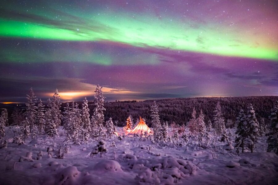 Rovaniemi: Small-Group Northern Lights Wilderness Tour - Key points to know before you book