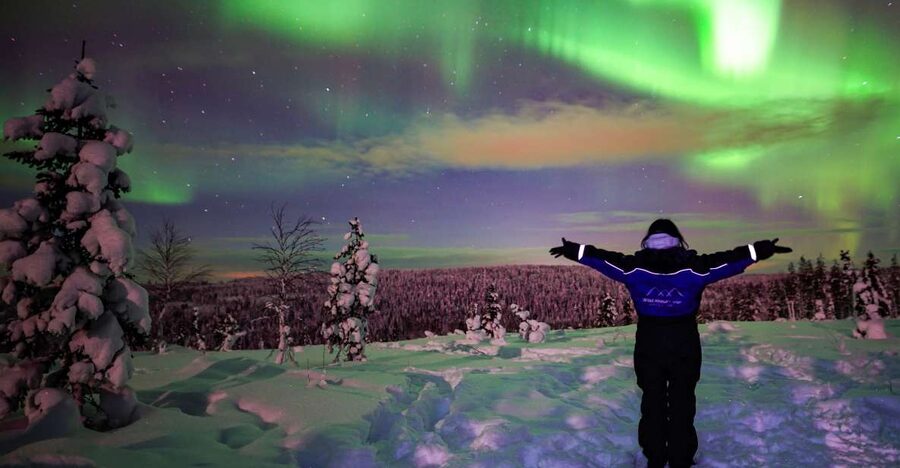 Rovaniemi: Small-Group Northern Lights Wilderness Tour - Should you book the Rovaniemi wilderness tour?