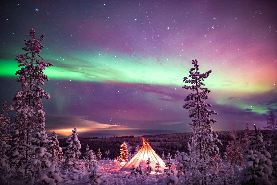 Rovaniemi: Small-Group Northern Lights Wilderness Tour - What the price means at $136