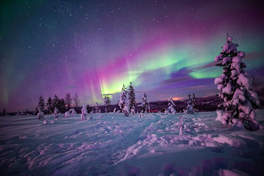Rovaniemi: Small-Group Northern Lights Wilderness Tour - The practical details that affect your choice
