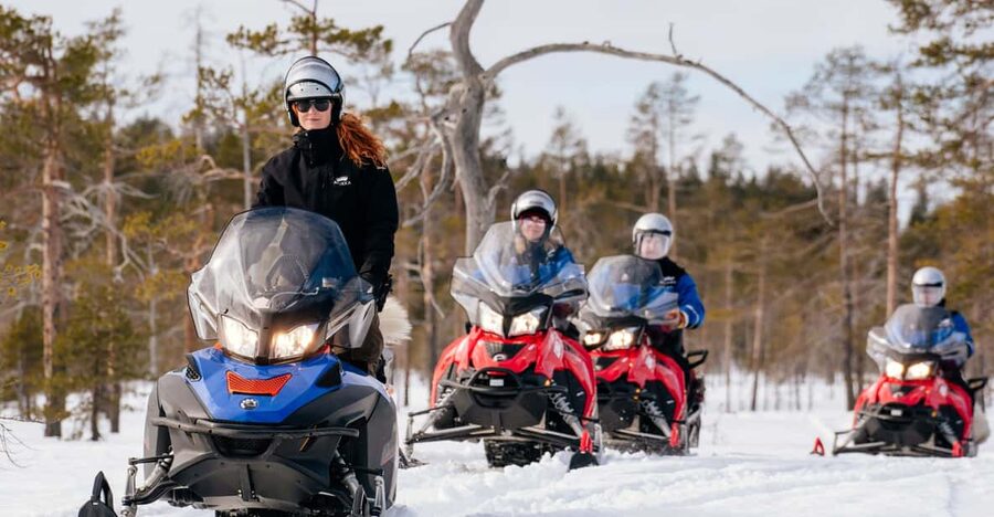 Rovaniemi: Snowmobile Safari into the Wilderness - Pine forests, frozen marshes, and open snowy stretches