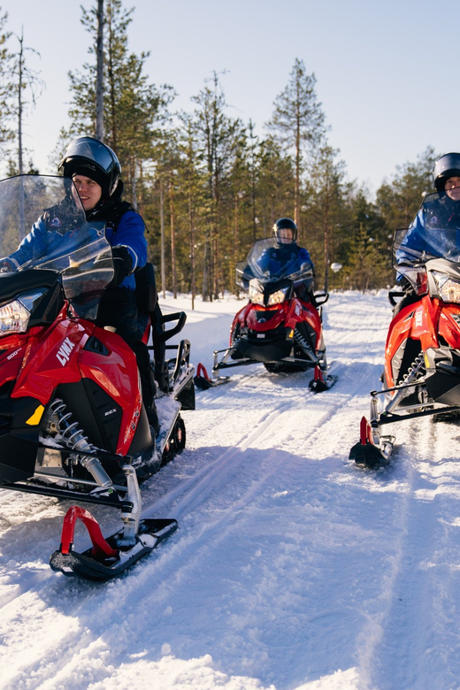 Rovaniemi: Snowmobile Safari into the Wilderness - Timing, cancellations, and practical planning