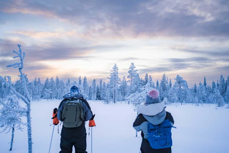 Rovaniemi: Snowshoe Wilderness Adventure with Photos & BBQ - Key points before you book