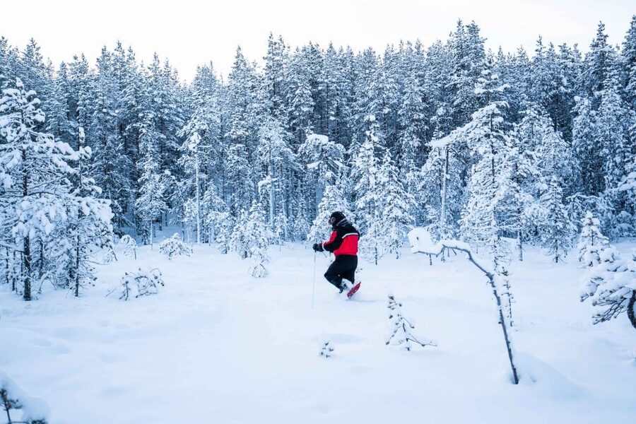 Rovaniemi: Snowshoe Wilderness Adventure with Photos & BBQ - Leaving Rovaniemi for the snowy forest
