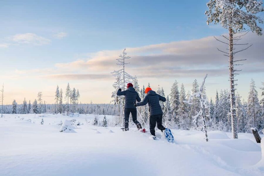 Rovaniemi: Snowshoe Wilderness Adventure with Photos & BBQ - Walking several kilometers through Arctic nature