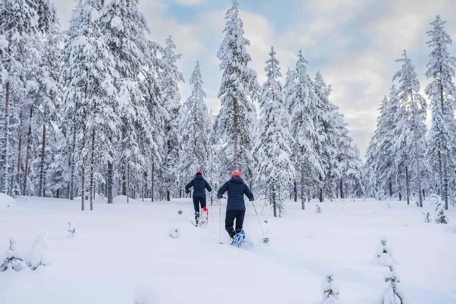 Rovaniemi: Snowshoe Wilderness Adventure with Photos & BBQ - Learning winter photography without a classroom