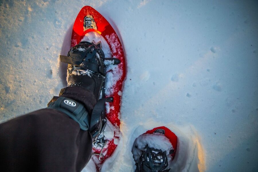 Rovaniemi: Snowshoe Wilderness Adventure with Photos & BBQ - What the guides add to the experience
