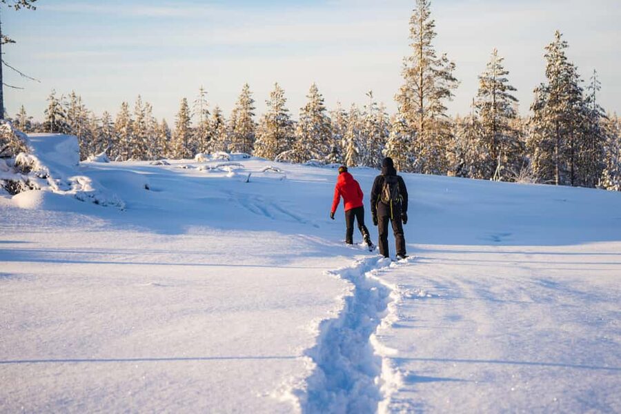 Rovaniemi: Snowshoe Wilderness Adventure with Photos & BBQ - Who will enjoy this most?