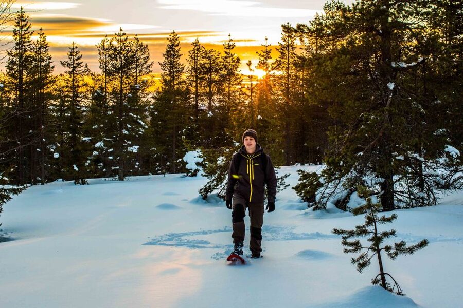 Rovaniemi: Snowshoe Wilderness Adventure with Photos & BBQ - Practical details that can save you trouble