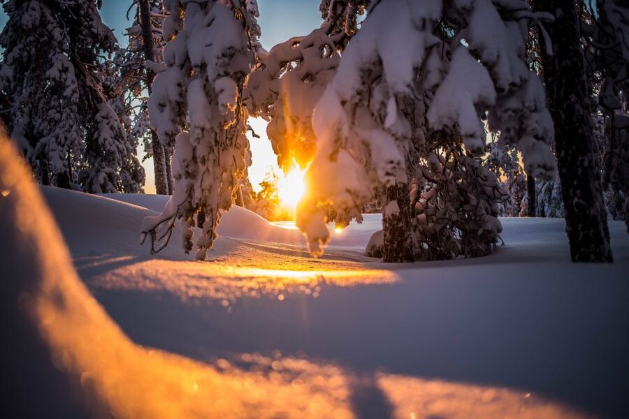 Rovaniemi: Snowshoe Wilderness Adventure with Photos & BBQ - Getting fitted for snowshoes and winter clothing
