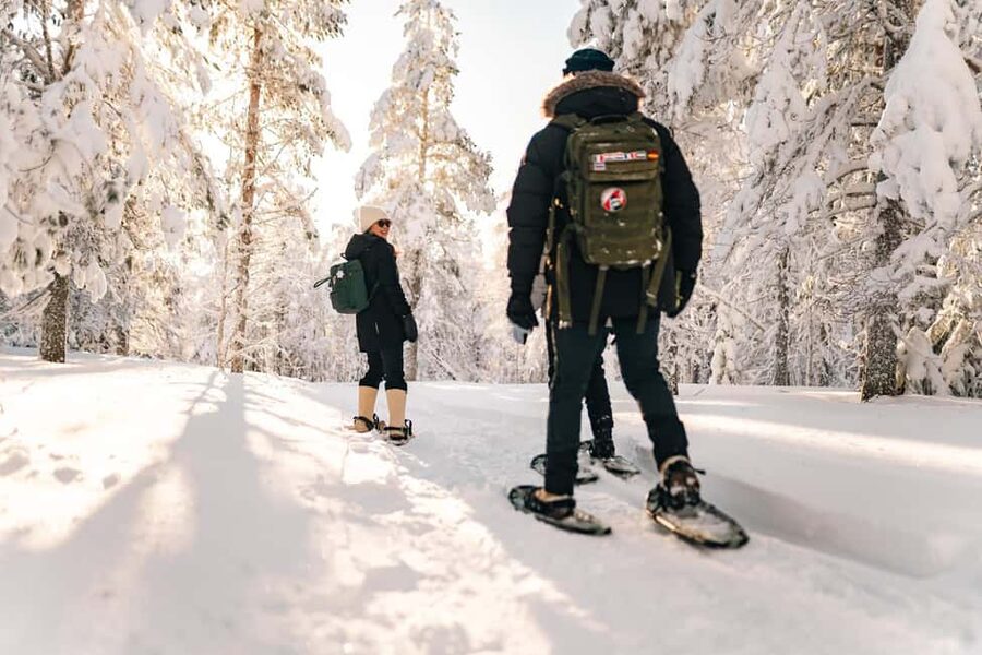 Rovaniemi: Snowshoeing in the Arctic Wilderness - Key points to know before you book