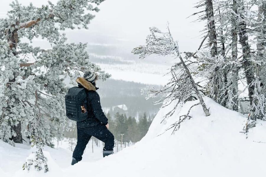 Rovaniemi: Snowshoeing in the Arctic Wilderness - Starting near Rovaniemi with pickup included