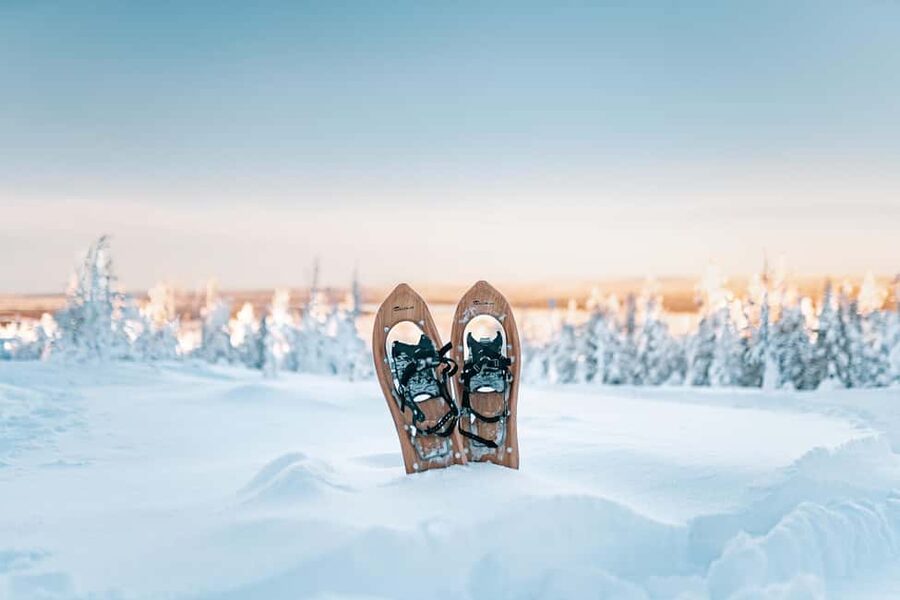 Rovaniemi: Snowshoeing in the Arctic Wilderness - Quiet forest views and Arctic stories