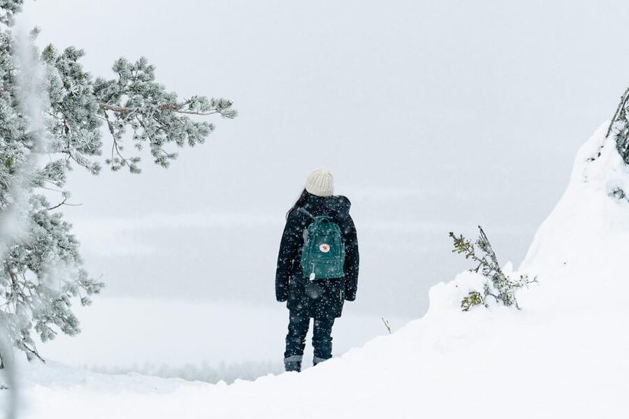 Rovaniemi: Snowshoeing in the Arctic Wilderness - Should you book the Rovaniemi snowshoe tour?