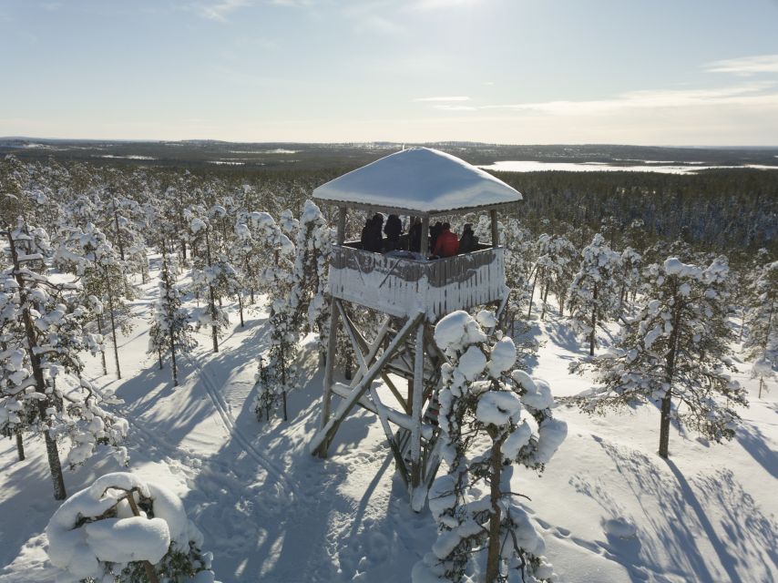Rovaniemi: Wilderness Tour - A Short Walk Into Rovaniemi’s Wild Side