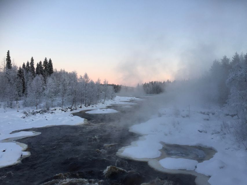 Rovaniemi: Wilderness Tour - Should You Book the Rovaniemi Wilderness Tour?