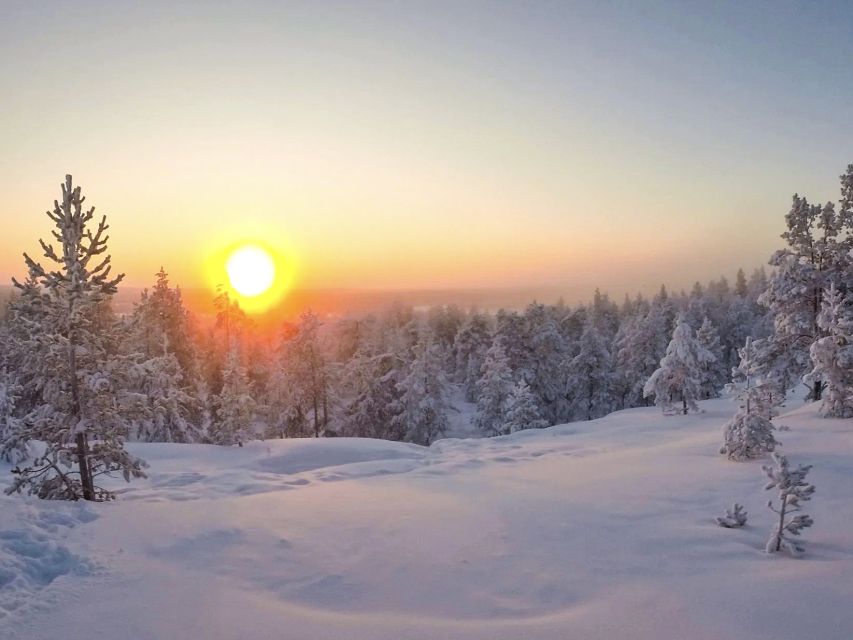 Rovaniemi: Wilderness Tour - Guides Who Shape the Experience