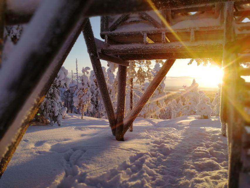 Rovaniemi: Wilderness Tour - Small Group, Pickup, and Timing