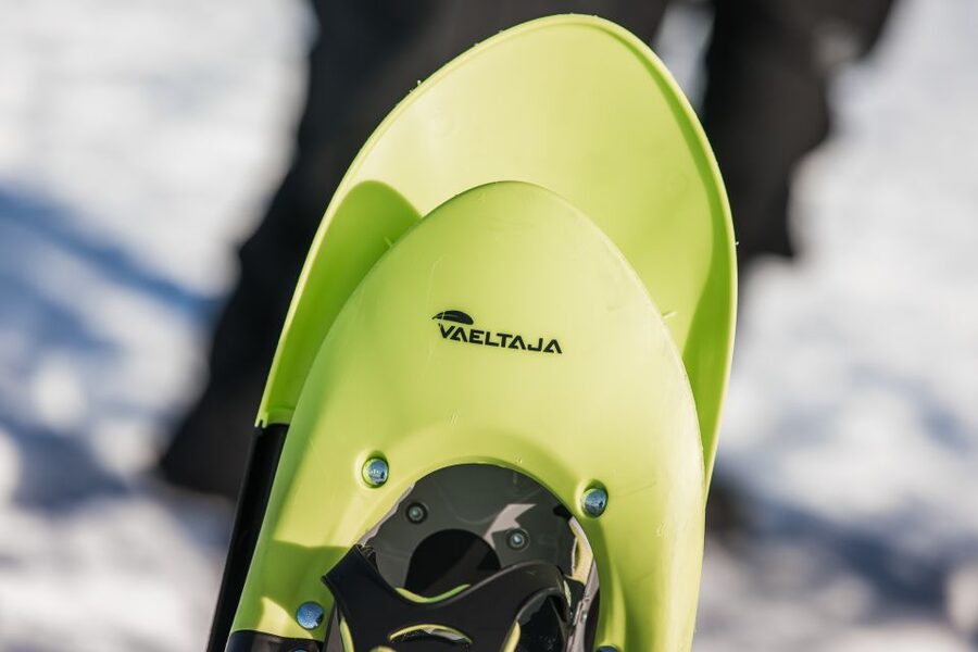 Rovaniemi: Winter Wilderness Snowshoeing Trip - Key points at a glance