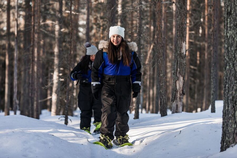 Rovaniemi: Winter Wilderness Snowshoeing Trip - Guides, group size, and the feel of the outing
