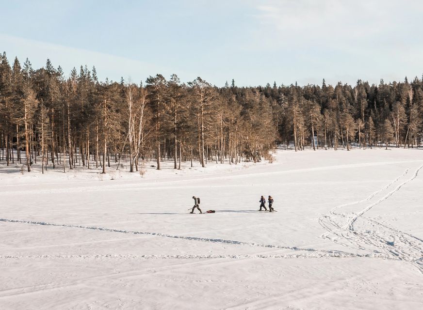 Rovaniemi: Winter Wilderness Snowshoeing Trip - Is $104 a fair price?