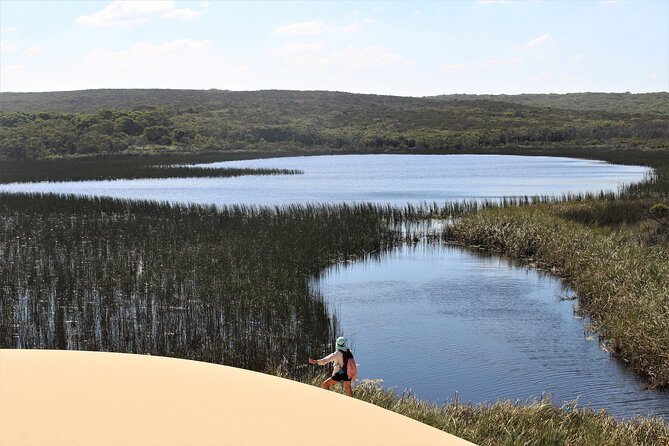 Royal National Park Private Tour - Bald Hill for Big Coastal Views