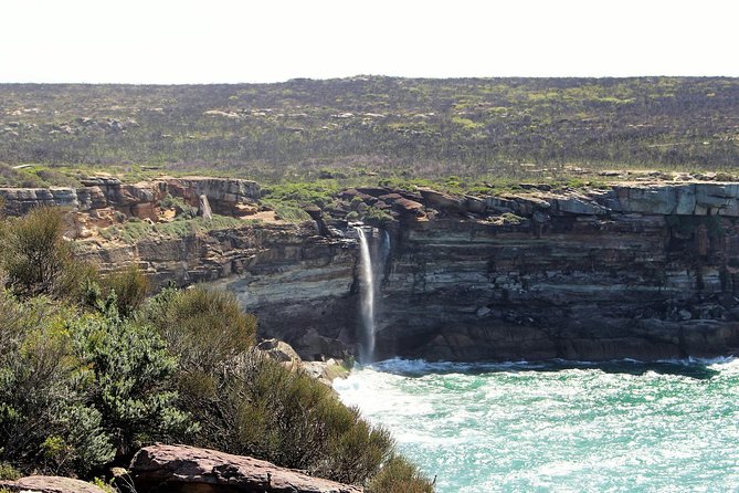Royal National Park Private Tour - Symbio Wildlife Park: A Separate Admission