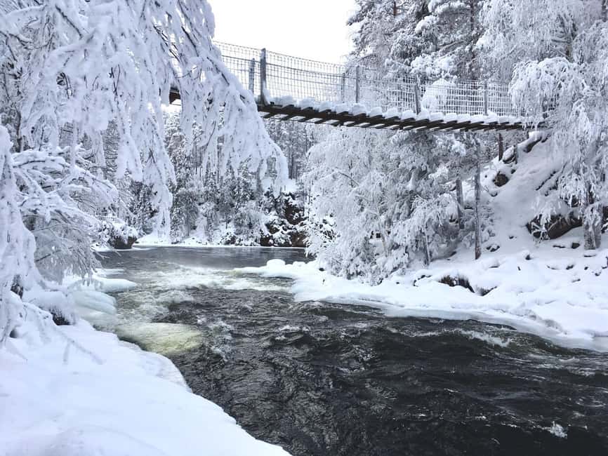 Ruka: Oulanka National Park Snowshoeing Tour - Snowshoeing on 2 to 4 kilometers of mixed ground