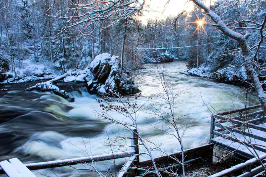 Ruka: Oulanka National Park Snowshoeing Tour - Practical planning for a smoother day