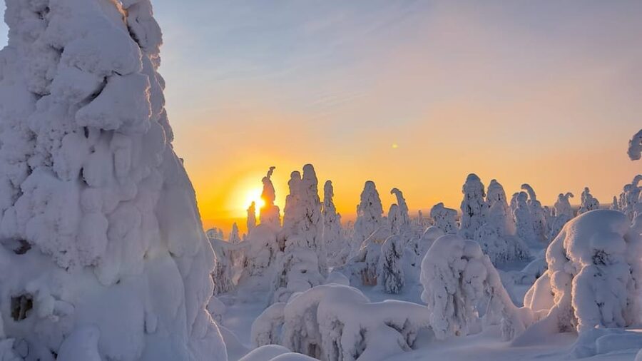 Ruka: Riisitunturi National Park with lunch. - Why Riisitunturi makes a strong day trip from Ruka