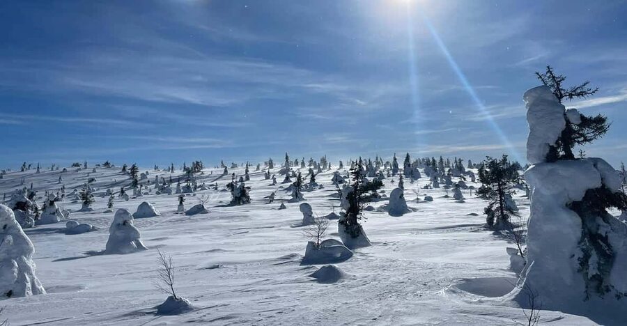 Ruka: Riisitunturi National Park with lunch. - Getting ready at the Riisitunturi trailhead