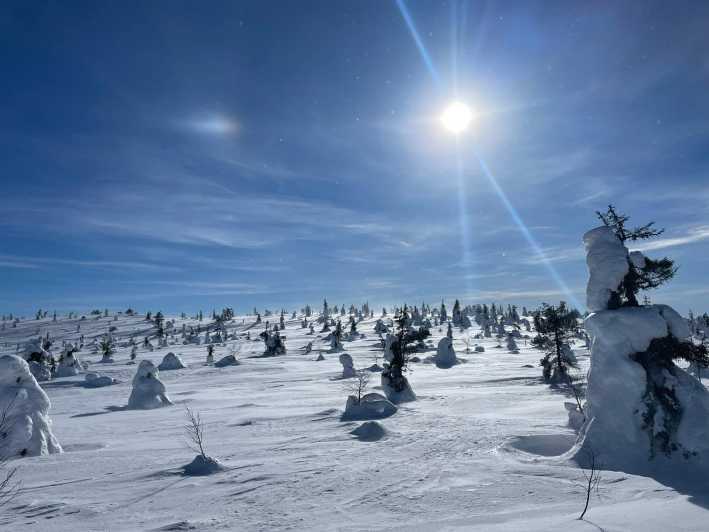 Ruka: Riisitunturi National Park with lunch. - Mindfulness without making the walk feel forced