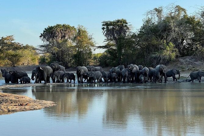 Saadani National Park Day Tour - Key points to know before booking