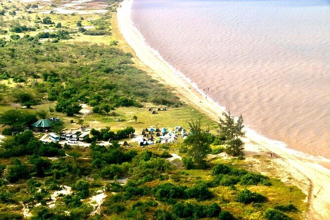 Saadani National Park Day Tour - Why Saadani feels different from a standard safari