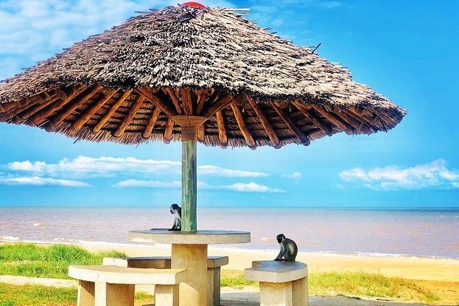 Saadani National Park Day Tour - Who will get the most from this day