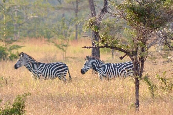 Saadani National Park Day Tour - Practical booking advice and cancellation terms