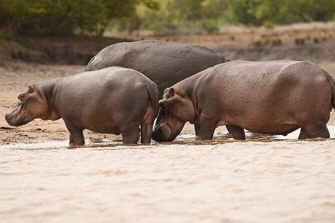Saadani National Park Day Tour - Villages, historical sights, and the road toward the Wami River