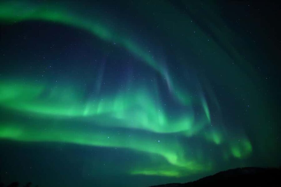 Saariselkä: Aurora Hunting & Reindeer Wilderness Experience - Meeting the reindeer at a traditional farm