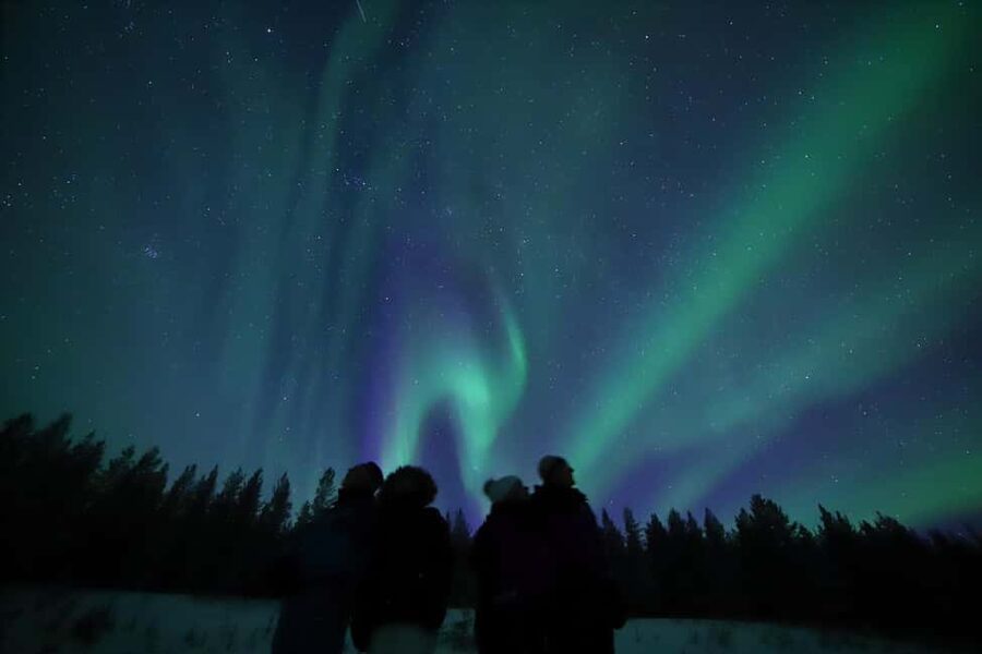 Saariselkä: Aurora Hunting & Reindeer Wilderness Experience - A shared minivan, with room for a more personal outing