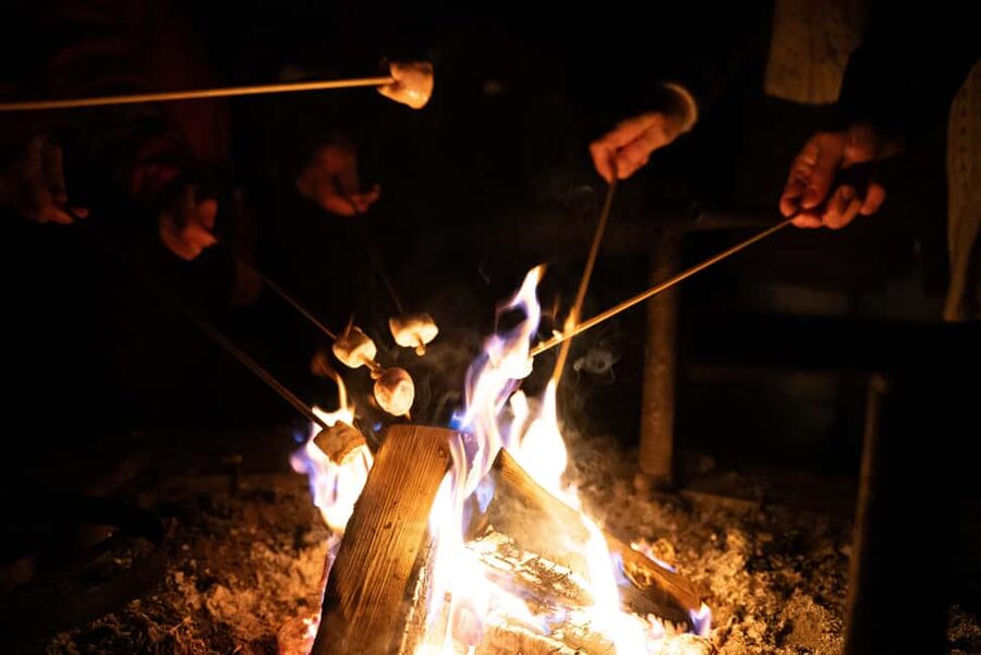 Saariselkä: Aurora Hunting & Reindeer Wilderness Experience - What the $152 price means