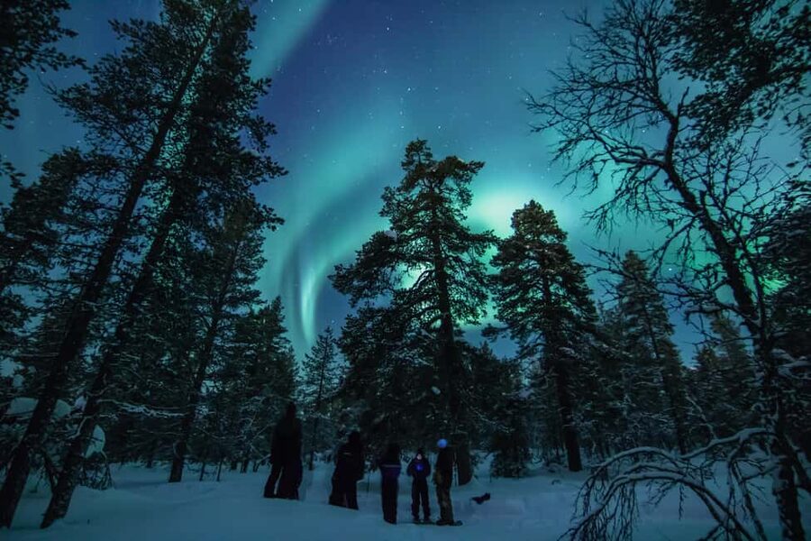 Saariselkä: Aurora Hunting & Reindeer Wilderness Experience - Who will enjoy this most
