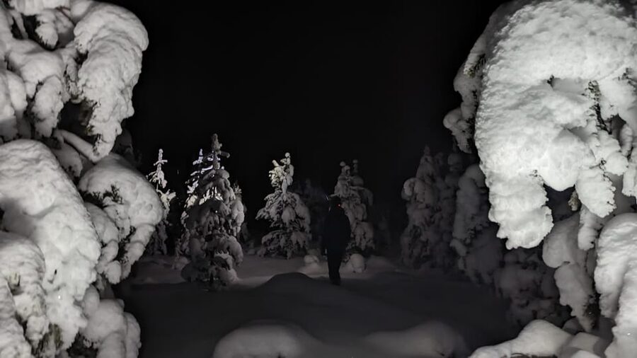 Saariselkä: Snowshoeing Tour in Urho Kekkonen National Park - Starting beside the national park border