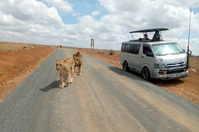 Safari Tour; Nairobi National Park - The early pickup and ride into the park