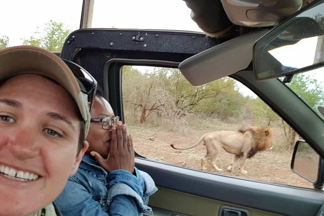 Safaris in Kruger National Park Full Day - Key points to know before booking