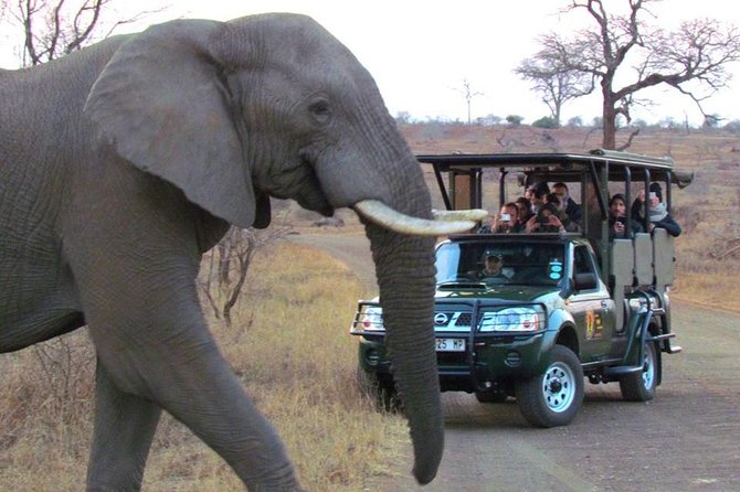 Safaris in Kruger National Park Full Day - A full day is a better match for Kruger