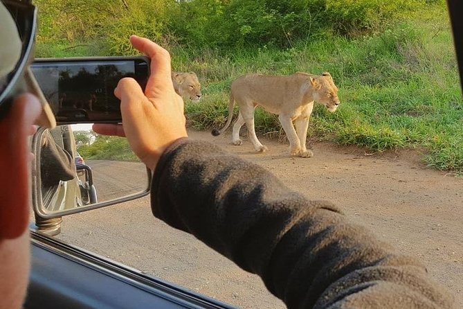 Safaris in Kruger National Park Full Day - The practical details that can affect your decision