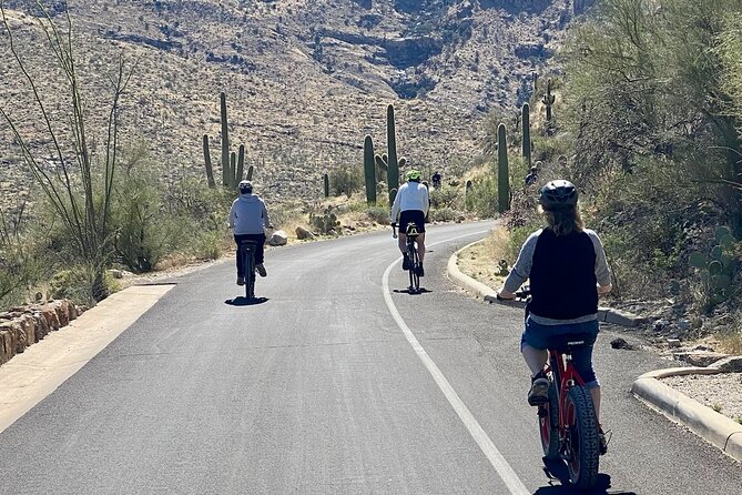Saguaro National Park East E-Bike Tour - Why a bicycle works so well in Saguaro National Park East