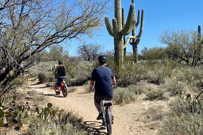 Saguaro National Park East E-Bike Tour - The Visitor Center stop