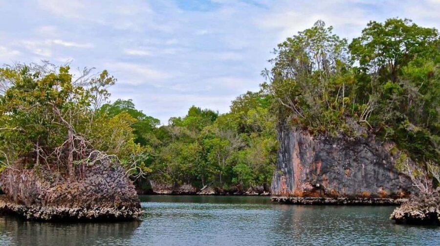 Samana: Los Haitises National Park & Caño Hondo Day Tour - Key points to know before booking
