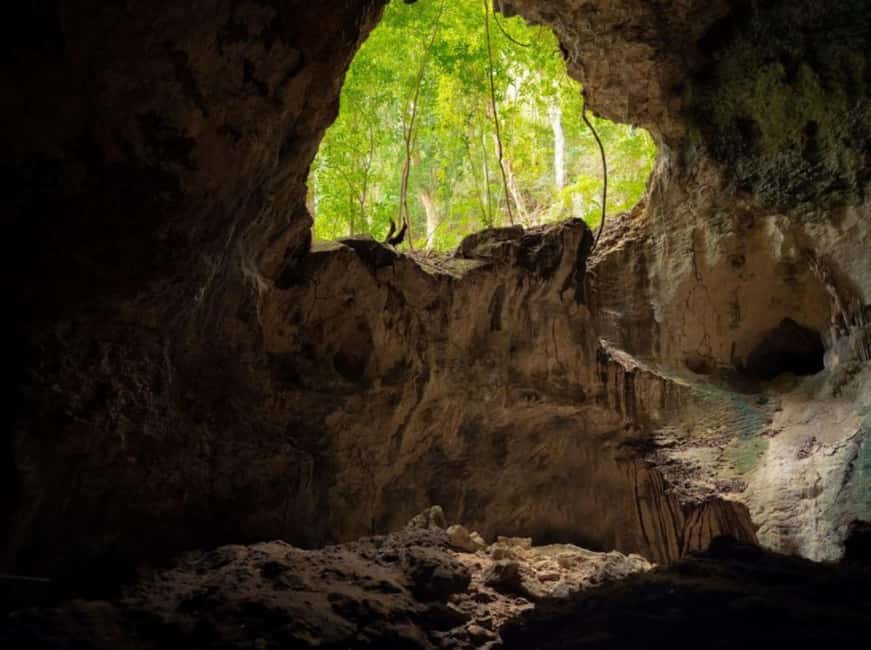 Samana: Los Haitises National Park & Caño Hondo Day Tour - Lunch on a beach inside the park